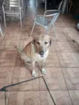 Astro