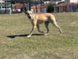Freya
