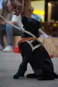 Rubi