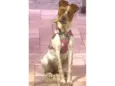 Maya