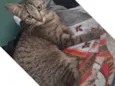 Julieta
