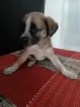 Não tem nome