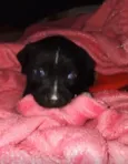 Tito