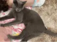 Lua