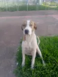 Zulu