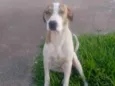 Zulu