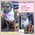 Casquinha