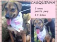 Casquinha