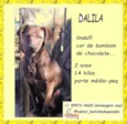 Dalila