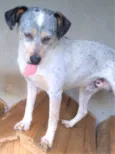 Faísca