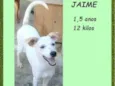 Jaime