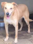 Jonhy