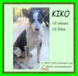 Kiko