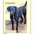 Lindoso