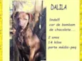 Dalila