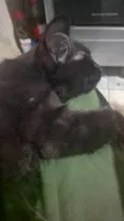 ainda não tem