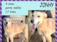 Jonhy