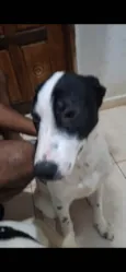 Farofa e Cuscuz
