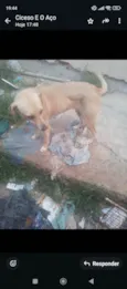 Princesa 