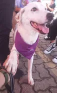 Branquinha