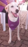 Branquinha