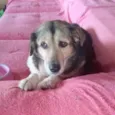 Inês 