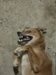 Lucky