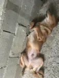 Lucky