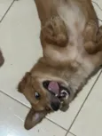 Lucky