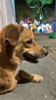 Lucky