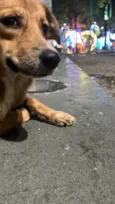 Lucky