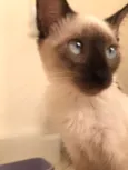 Lilly