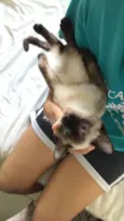 Lilly