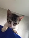 Zoé