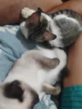 Zoé