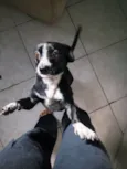 Kiara(Kiki)