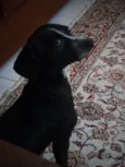 Kiara(Kiki)