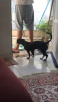 Kiara(Kiki)