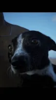 Kiara(Kiki)