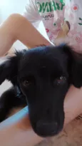 Tarê