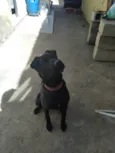 Nala
