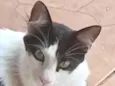 Bob