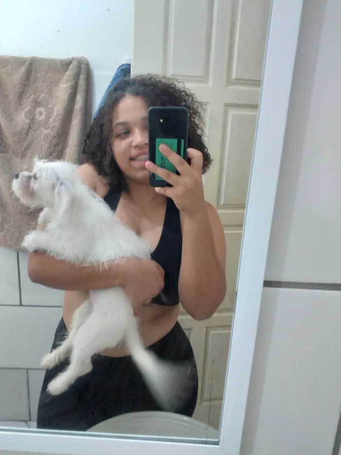 Cachorro ra a SRD-ViraLata idade 2 a 6 meses nome Zoe