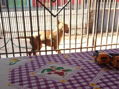 Cachorro raça SRD-ViraLata idade 2 a 6 meses nome Toto