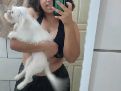 Cachorro raça SRD-ViraLata idade 2 a 6 meses nome Zoe