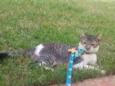 Charlie