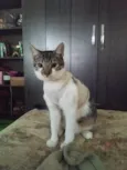 Charlie
