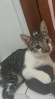Charlie
