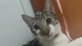Charlie