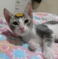 Matteo